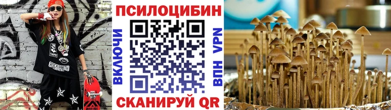 Галлюциногенные грибы ЛСД  darknet Telegram  Дальнереченск 