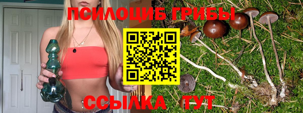 Галлюциногенные грибы прущие грибы Дальнереченск