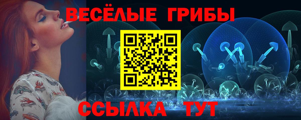 Дальнереченск  Псилоцибиновые грибы Psilocybe  Вход с VPN 